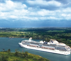 Os Cruzeiros mais procurados a bordo do Coral Princess
