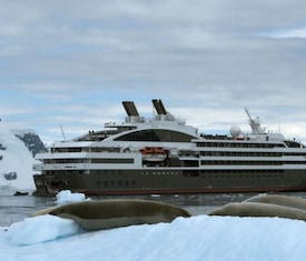 Os Cruzeiros mais procurados a bordo do Le Boreal