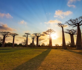 Os cruzeiros mais desejados Entre Europa e África