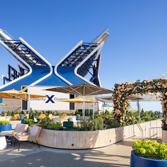 Rooftop Garden