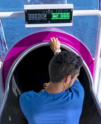 imagem Symphony of the Seas 10