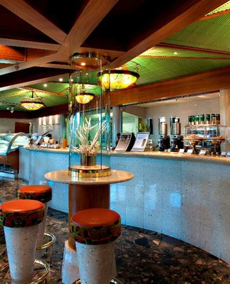 imagem Carnival Victory 14