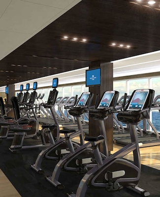 imagem Majestic Princess 17