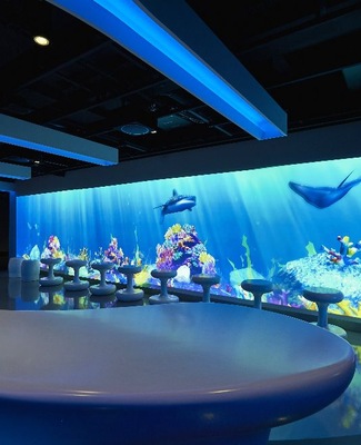 imagem Norwegian Joy 11