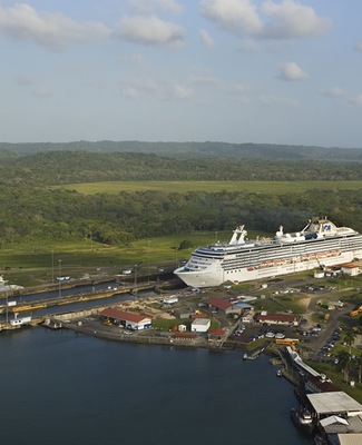 imagem Coral Princess 14