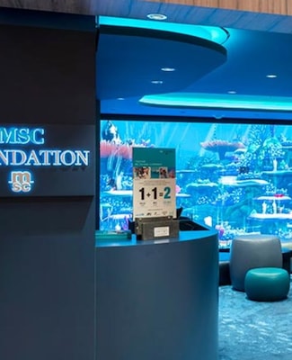 imagem MSC Euribia 2