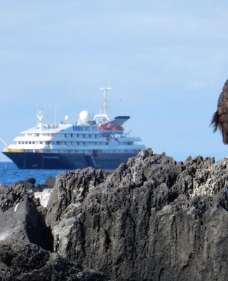 imagem Silver Galápagos 1