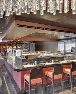 imagem MSC Seashore 12