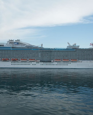 imagem Regal Princess 10