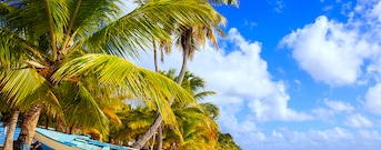 Bávaro