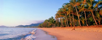 Cairns QLD