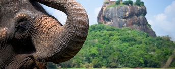 Katunayake