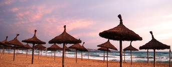 Praia De Palma