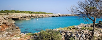 Cala en Bosc
