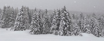 Folgaria Trentino