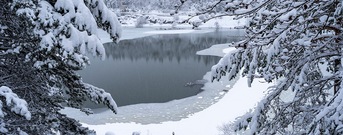 Andalo Trentino