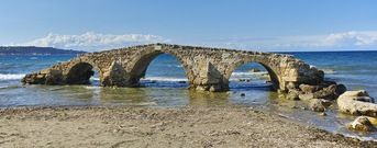 Argassi