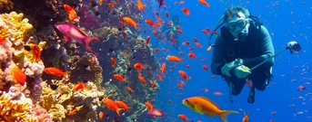 Gran barrera de coral