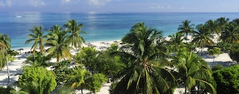 Guardalavaca