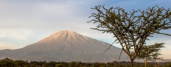Arusha