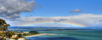 Nelson