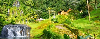 Pereira