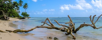 Grande Terre