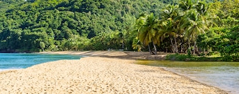 Basse - Terre