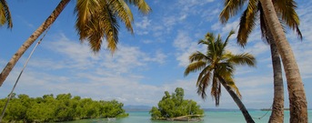 Isla Madagascar
