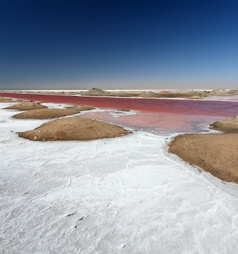 Bahía de Walvis (Namibia)