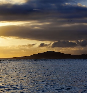 Caleta Tagus (Isabela)