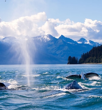 Juneau (Alaska)