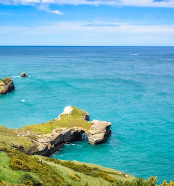Dunedin (Nueva Zelanda)