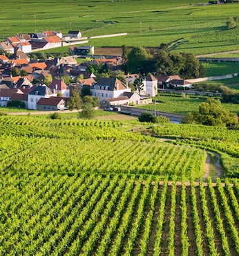 Le Verdon (Francia)