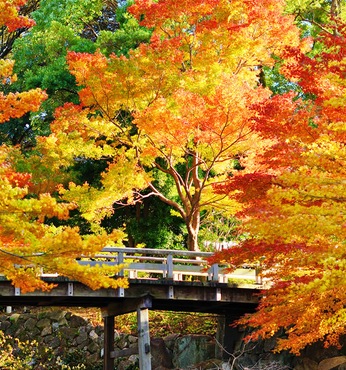 Nagoya (Japão)