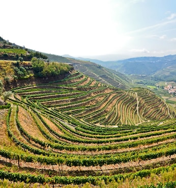 Régua (Portugal)
