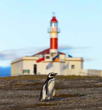 Ilha Magdalena (Chile)