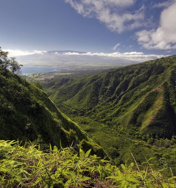 Kahului, Maui