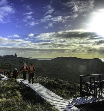Cabo Horn (Navegação)