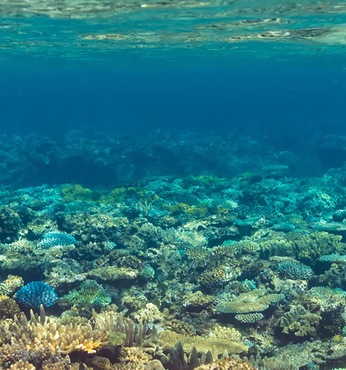 Inyeug (Mystery Island, Vanatu)