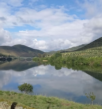 Vega de Terón