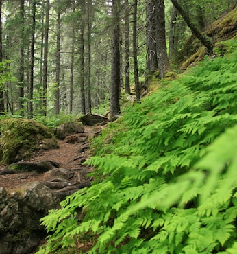 Skagway (EUA)