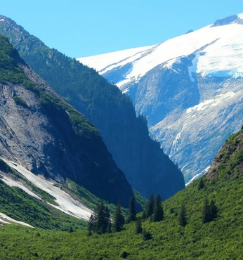 Fiorde Tracy Arm (Alaska)