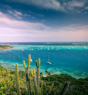 Tobago Cays (Granadinas y San Vicente)