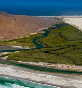 Bahia Magdalena (Mexico)