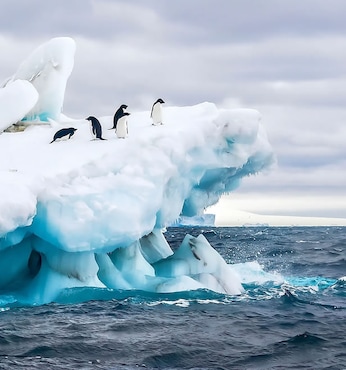 Weddell Sea (Antártida)