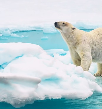 Northwest Passage (Canadá)
