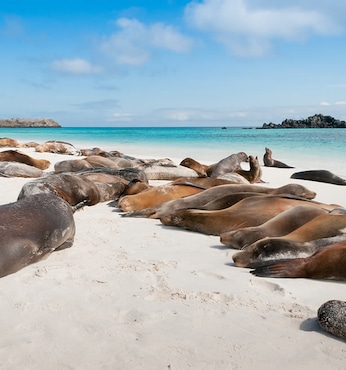 Bahía de Gardner (Isla Española, Galápagos)