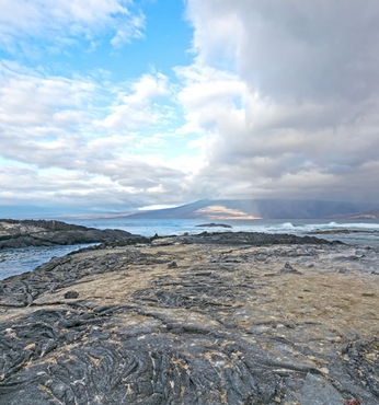 PUNTA VICENTE ROCA (ISABELA)