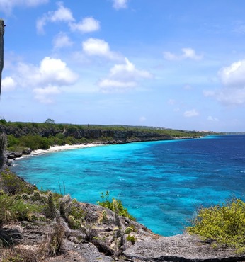 Kralendijk (Ilha de Bonaire)